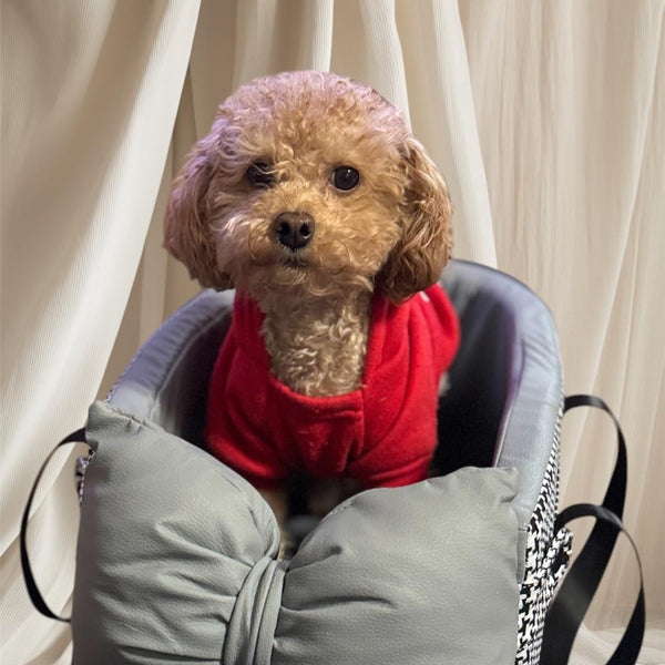 Voyage & Déplacements